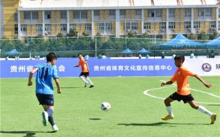 足球业余不能和专业比赛吗，足球业余不能和专业比赛吗为什么