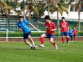 涡河公园足球场收费吗，涡河公园足球场收费吗现在